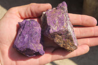 Natural Metallic Purpurite Cobbed Specimens x 12 From Erongo, Namibia