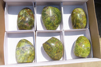 Polished Green Opal Standing Free Forms x 6 From Antsirabe, Madagascar