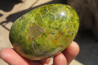 Polished Green Opal Standing Free Forms x 6 From Antsirabe, Madagascar