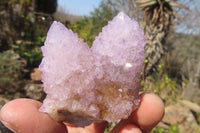 Natural Amethyst / Ametrine Spirit Quartz Clusters x 12 From South Africa