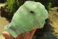 Polished On One Side Watermelon Fluorite Specimens x 4 From Namibia