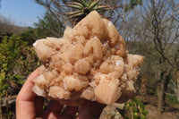 Natural Pineapple Candle Quartz Clusters x 3 From Antsirabe, Madagascar