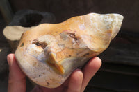 Polished Ocean Jasper Flame Sculptures x 2 From Madagascar