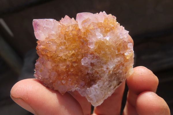 Natural Amethyst Spirit Quartz Clusters x 20 From Boekenhouthoek, South Africa