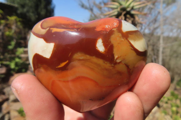 Polished Polychrome Jasper Gemstone Hearts x 6 From Madagascar