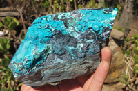 Natural Silica Chrysocolla Specimens x 3 From Kulukuluku, Congo