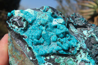 Natural Silica Chrysocolla Specimens x 3 From Kulukuluku, Congo