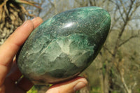 Polished Green Fuchsite Quartz Standing Free Forms x 2 From Madagascar