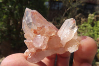 Natural Clear Quartz Clusters x 35 From Anzojorabe, Madagascar