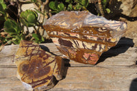 Polished On One Side Nguni Jasper Specimens x 2 From Prieska, South Africa