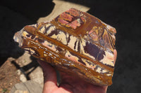 Polished On One Side Nguni Jasper Specimens x 2 From Prieska, South Africa