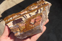 Polished On One Side Nguni Jasper Specimens x 2 From Prieska, South Africa