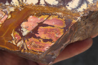 Polished On One Side Nguni Jasper Specimens x 2 From Prieska, South Africa