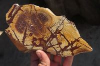 Polished On One Side Nguni Jasper Specimens x 2 From Prieska, South Africa