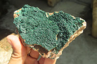 Natural Crystalline Malachite Specimens x 2 From Kasompe, Congo