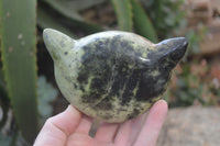 Polished Leopard Stone Cat Face Carvings x 3 From Zimbabwe