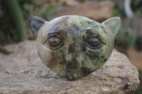 Polished Leopard Stone Cat Face Carvings x 3 From Zimbabwe