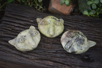 Polished Leopard Stone Cat Face Carvings x 3 From Zimbabwe