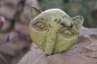 Polished Leopard Stone Cat Face Carvings x 3 From Zimbabwe