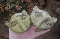 Polished Leopard Stone Cat Face Carvings x 3 From Zimbabwe