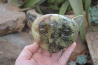 Polished Leopard Stone Cat Face Carvings x 3 From Zimbabwe