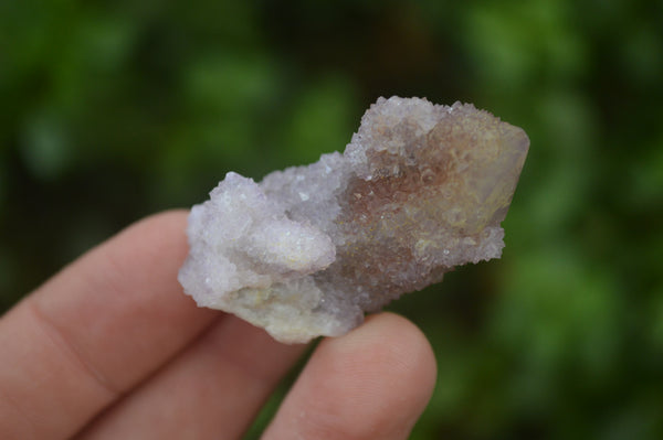 Natural Ametrine Spirit Quartz Crystals x 35 From Boekenhouthoek, South Africa