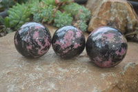 Polished Rhodonite Sphere-Balls x 3 From Ambindavato, Madagascar