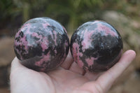 Polished Rhodonite Sphere-Balls x 3 From Ambindavato, Madagascar