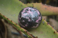 Polished Rhodonite Sphere-Balls x 3 From Ambindavato, Madagascar