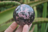 Polished Rhodonite Sphere-Balls x 3 From Ambindavato, Madagascar