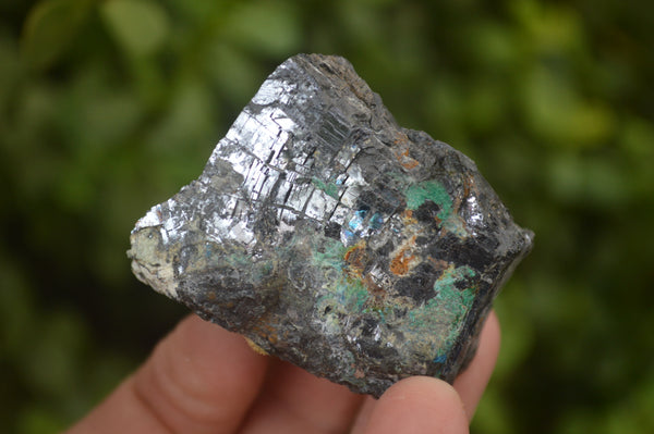 Natural Silver Lead Galena Specimens x 6 From Ais-Ais, Namibia