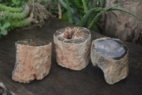 Polished Petrified Wood Branch Pieces x 3 From Gokwe, Zimbabwe