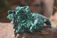 Natural Silky Malachite Specimens x 6 From Kasompe, Congo