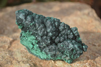 Natural Silky Malachite Specimens x 6 From Kasompe, Congo