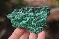 Natural Silky Malachite Specimens x 6 From Kasompe, Congo