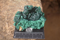 Natural Silky Malachite Specimens x 6 From Kasompe, Congo