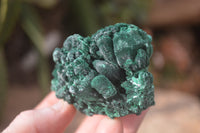 Natural Silky Malachite Specimens x 6 From Kasompe, Congo