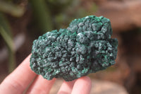 Natural Silky Malachite Specimens x 6 From Kasompe, Congo