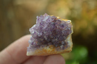 Natural Amethystos Amethyst Specimens x 70 From Kwaggafontein, South Africa