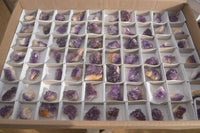 Natural Amethystos Amethyst Specimens x 70 From Kwaggafontein, South Africa