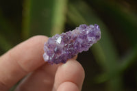 Natural Amethystos Amethyst Specimens x 70 From Kwaggafontein, South Africa