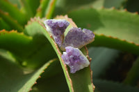 Natural Amethystos Amethyst Specimens x 70 From Kwaggafontein, South Africa