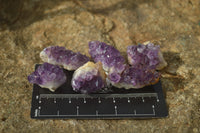 Natural Amethystos Amethyst Specimens x 70 From Kwaggafontein, South Africa