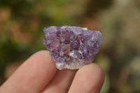 Natural Amethystos Amethyst Specimens x 70 From Kwaggafontein, South Africa