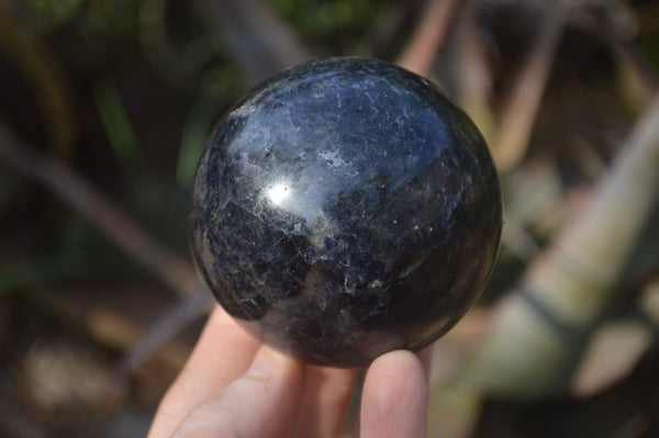 Polished Iolite Water Sapphire Spheres x 3 From Madagascar