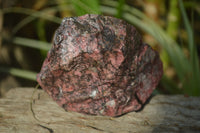 Natural Rhodonite Cobbed Specimens x 3 From Zimbabwe