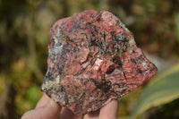 Natural Rhodonite Cobbed Specimens x 3 From Zimbabwe