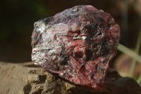 Natural Rhodonite Cobbed Specimens x 3 From Zimbabwe