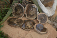 Polished Petrified Wood Slices x 6 From Gokwe, Zimbabwe