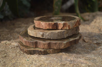 Polished Petrified Wood Slices x 6 From Gokwe, Zimbabwe